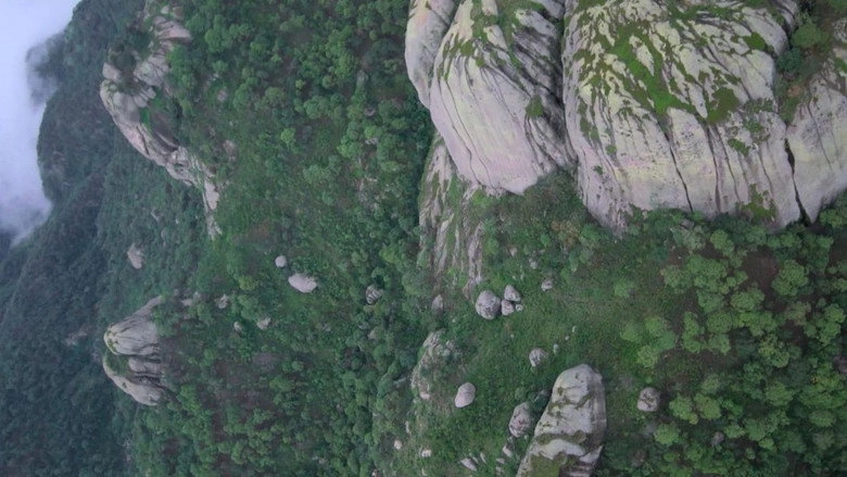 The Shipwrecked (2026)