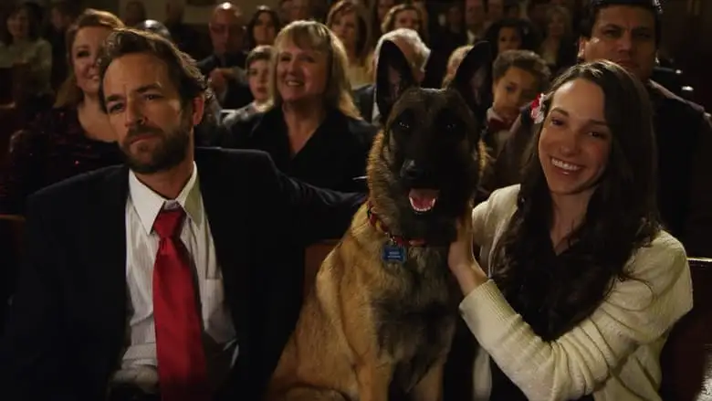 Scoot & Kassie's Christmas Adventure (2013)