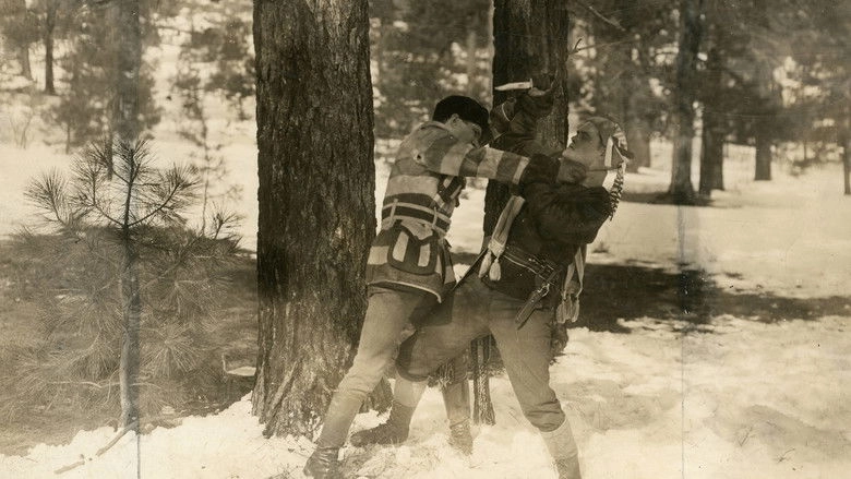 The Wilderness Trail (1919)