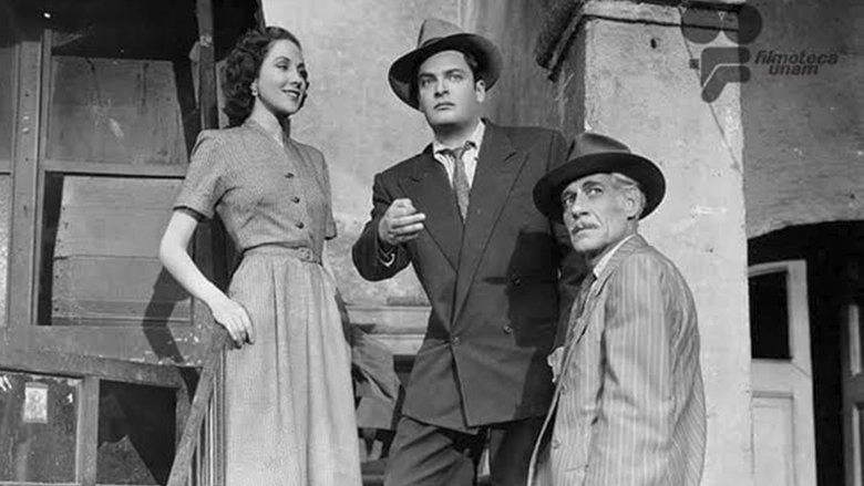 Los Fernandez De Peralvillo (1954)