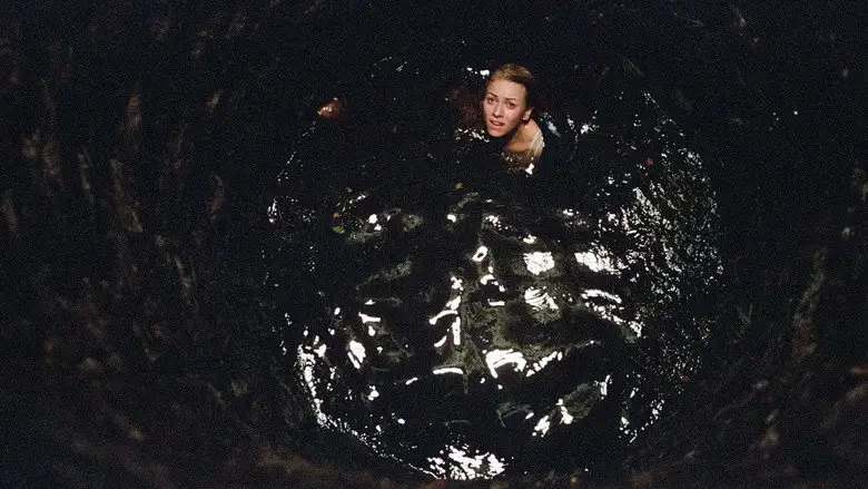 The Ring Two (2005)