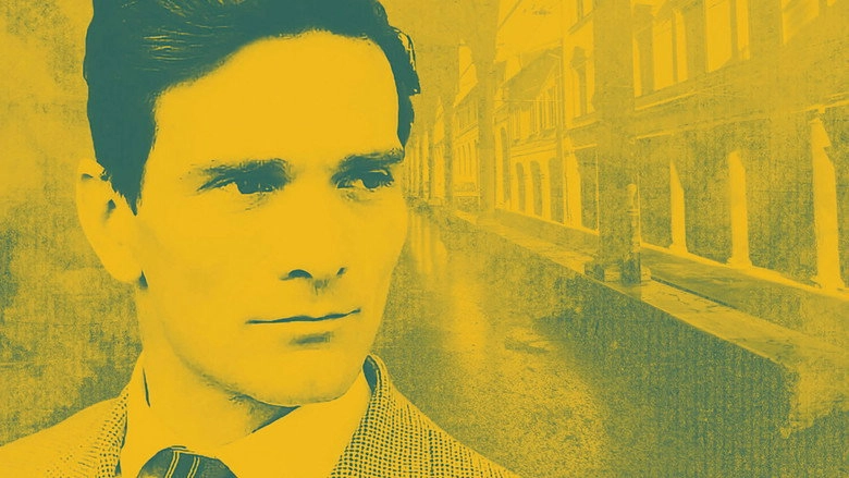 Il Giovane Corsaro - Pasolini Da Bologna (2022)