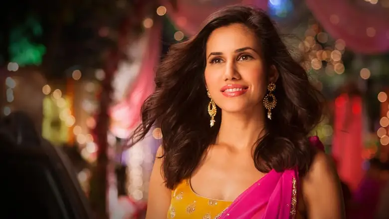 Pyaar Ka Punchnama 2 (2015)