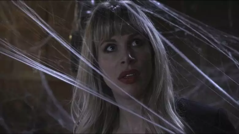 Spider In The Attic (2021)