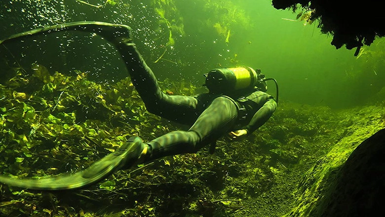 Underwater Okavango (2012)