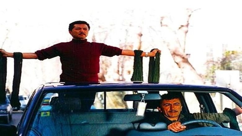 The Wind Carpet (2003)