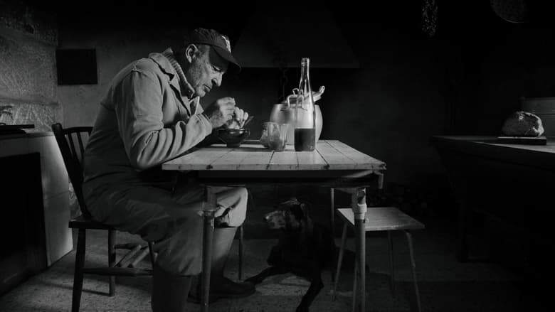 O Home E O Can (2023)