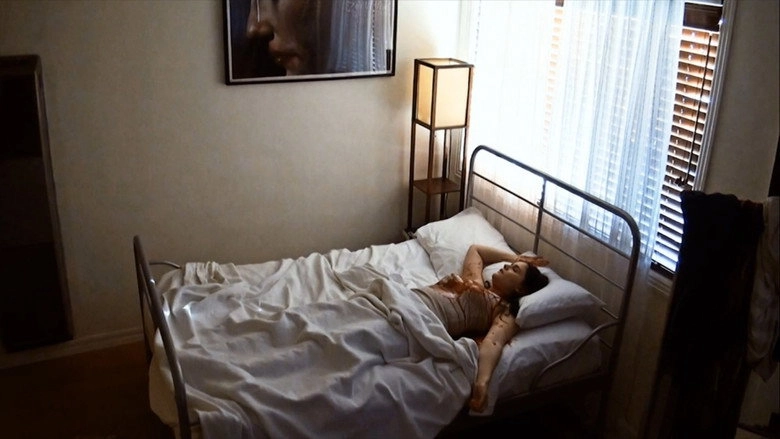 Harvey's Dream (2012)