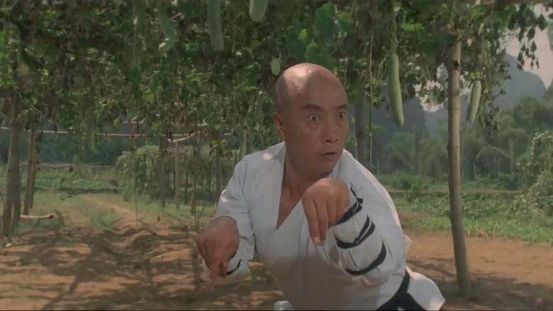 Martial Arts Of Shaolin (1986)