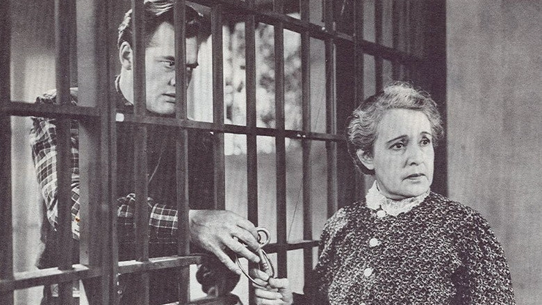 The Medico Of Painted Springs (1941)