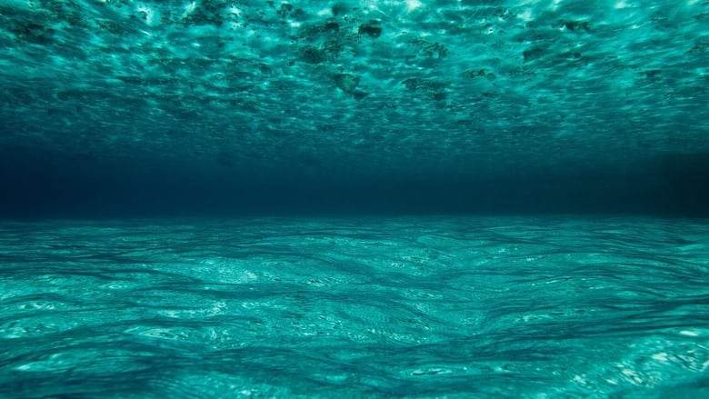 OceanWorld 3D (2009)