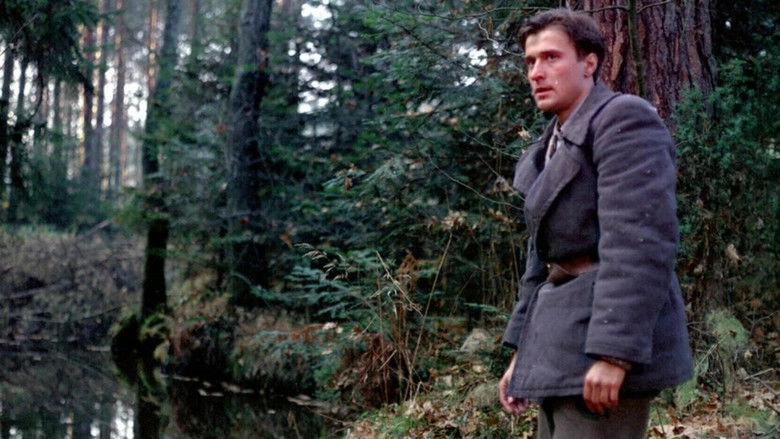 Okruchy Wojny (1986)