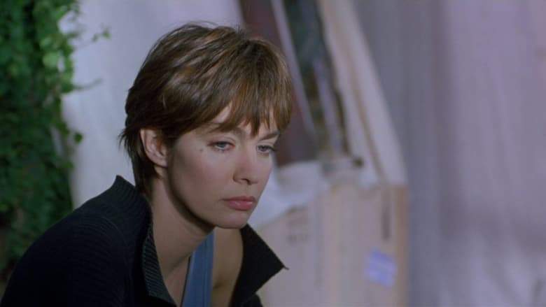 Six Days, Six Nights (1994)