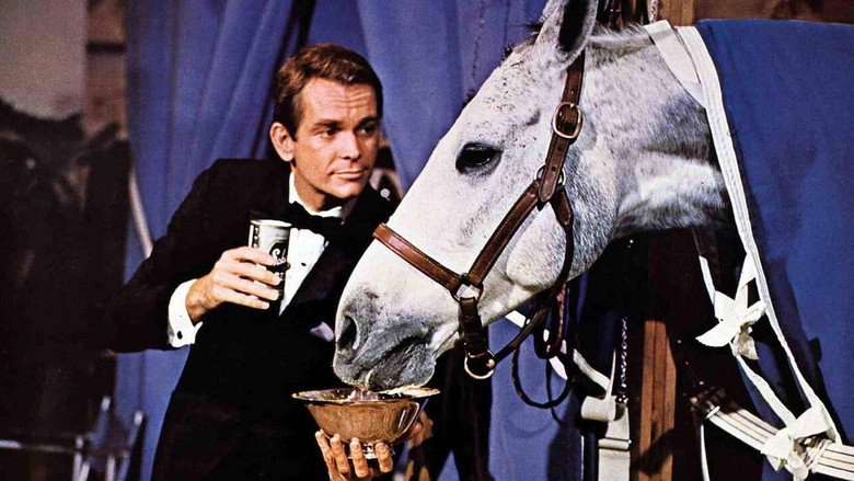 The Horse In The Gray Flannel Suit (1968)