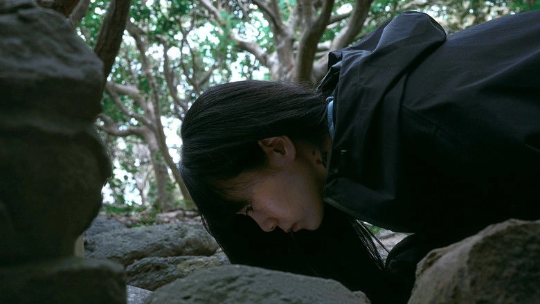 The Height Of The Coconut Trees (2026)