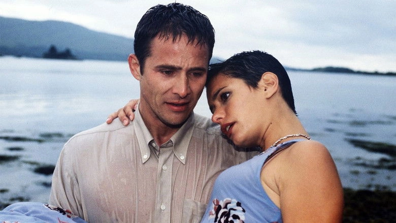 Rosamunde Pilcher: Die zweite Chance (1997)