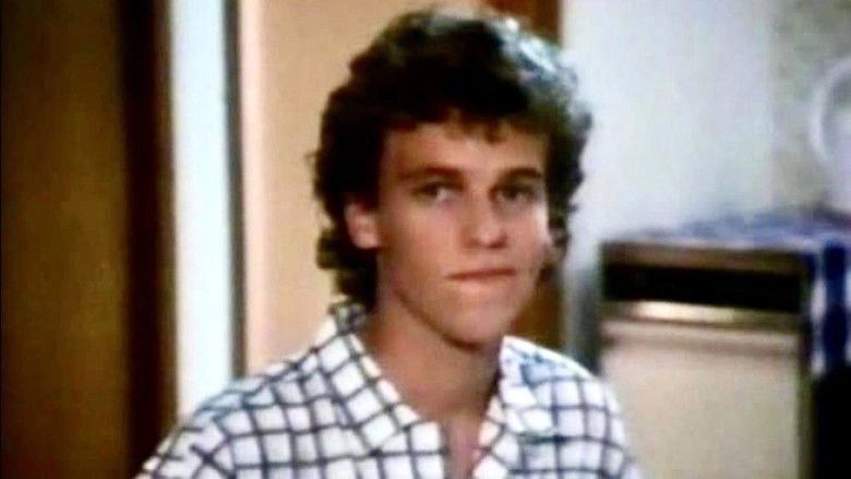 Hero In The Family (1986)