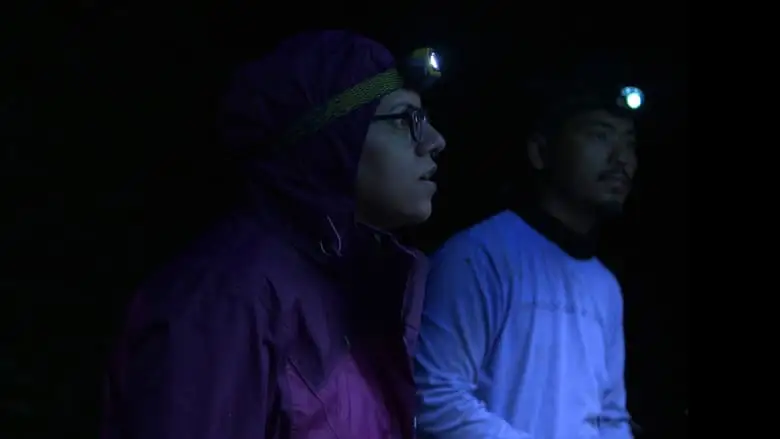 Nocturnes (2024)