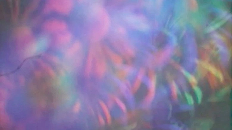 The Garden Just Before Dawn (2003)