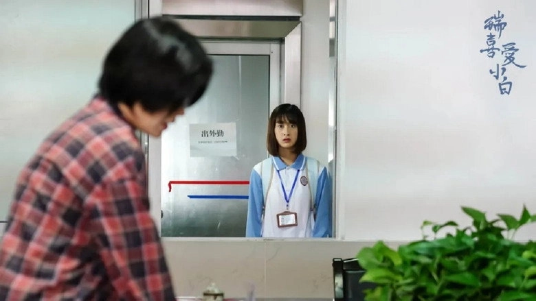 Rui Loves Xiaobai (2021)