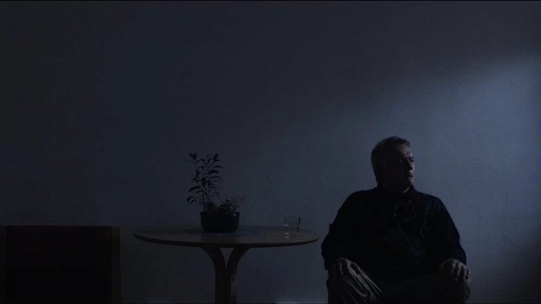 Fargene Forsvant (2014)