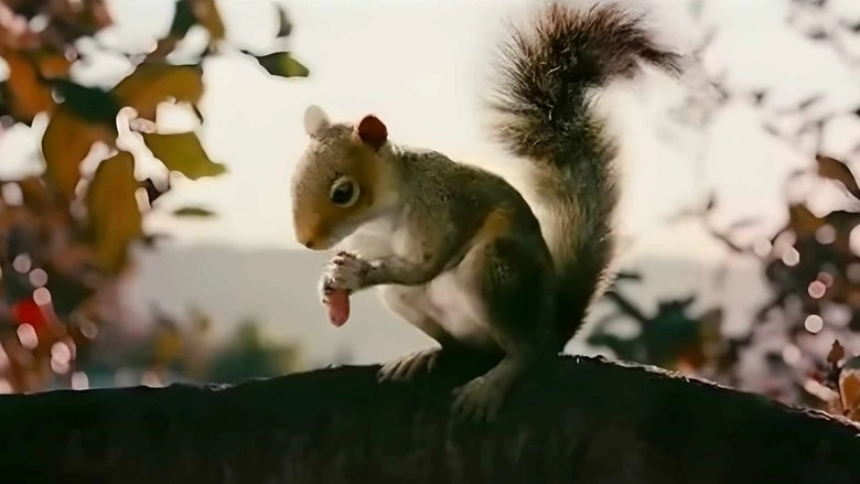 Squirrels (2014)