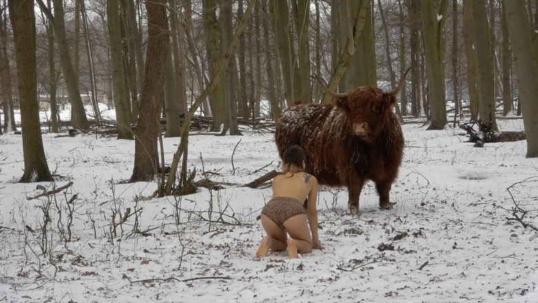 Missing Link (2021)