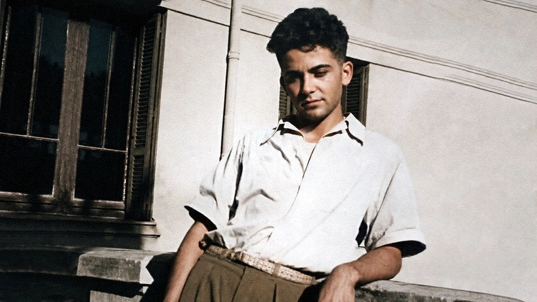 Maurice Audin, A Story Of Mathematicians (2018)