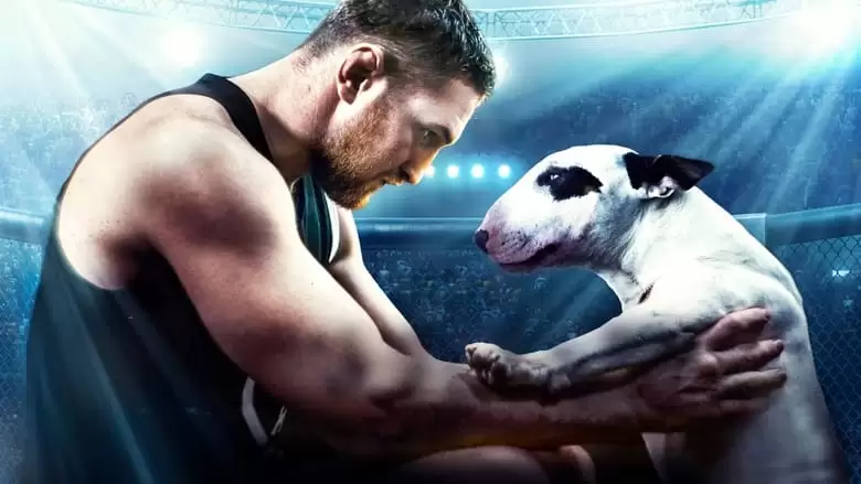 Bullterrier (2022)