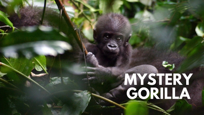 Mystery Gorillas (2010)