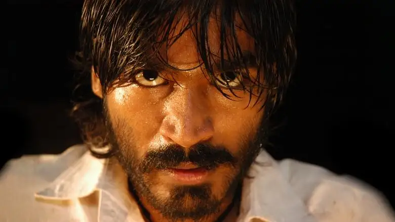 Pudhu Pettai (2006)