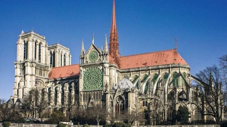 Sauver Notre-Dame (2020)