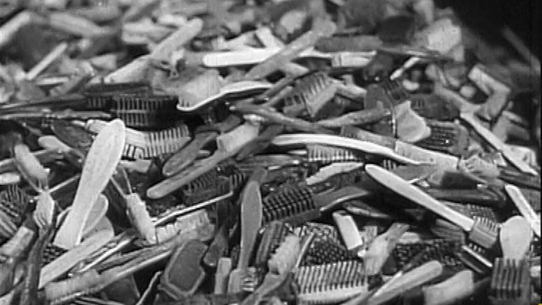 Shoah, Les Oublies De L'Histoire (2015)