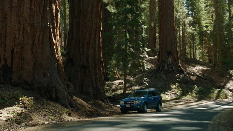 Sequoia (2014)