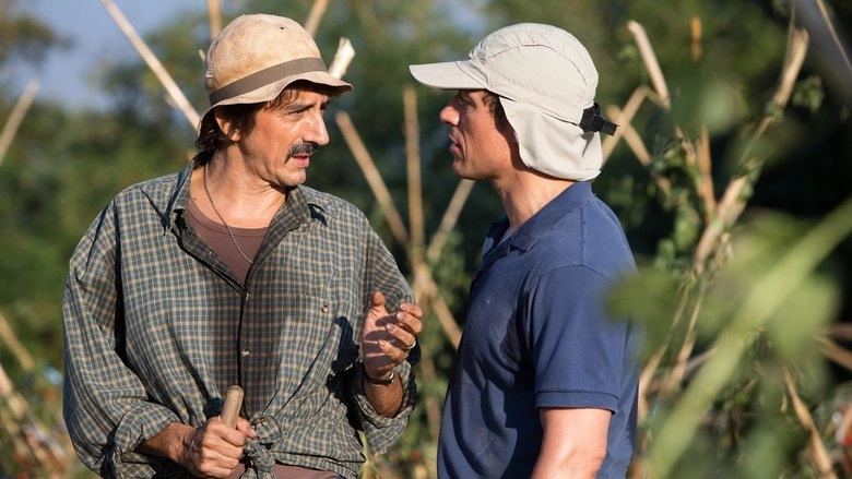 Mafia & Red Tomatoes (2014)