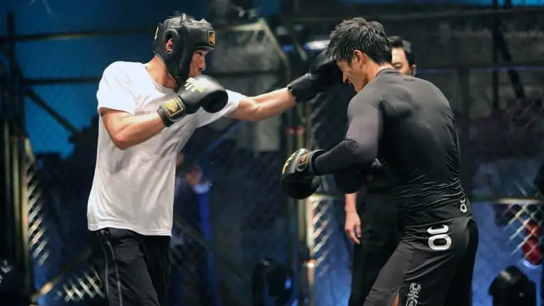 Fists Of Legend (2013)