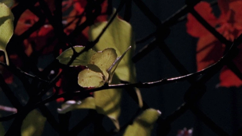 Arsenic (2010)