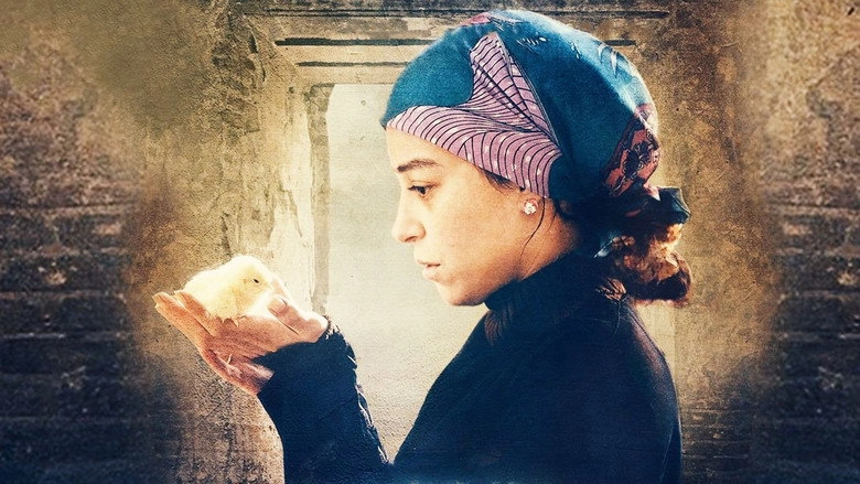 Nawara (2016)