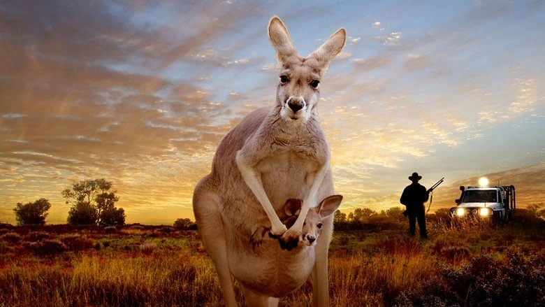 Kangaroo (2018)