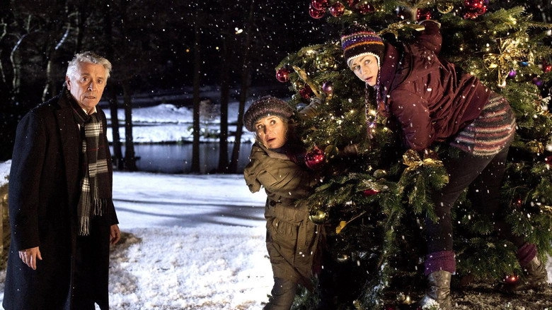 Weihnachten... Ohne Mich, Mein Schatz! (2012)