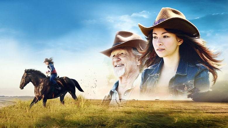 Midnight Stallion (2013)