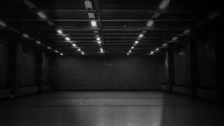 Meditaciones Sobre El Silencio (2023)