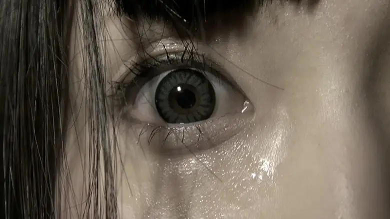 Mai-chan No Nichijo (2016)