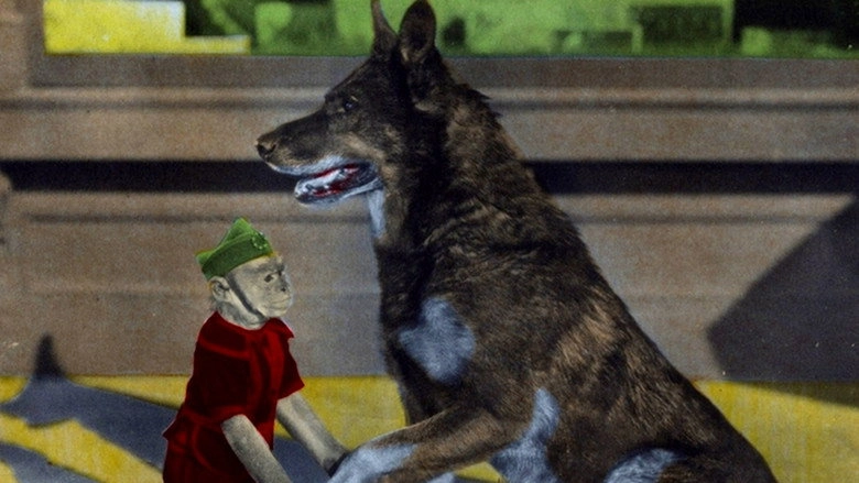 Rinty Of The Desert (1928)