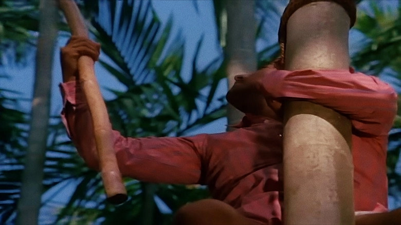 Bhootayyana Maga Ayyu (1974)
