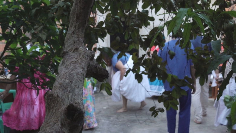 Sealed In Scars (2026)