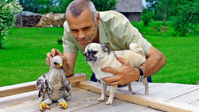 Eagle Man (2015)