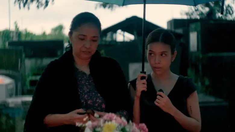 When It Rained Malunggay Leaves (2025)