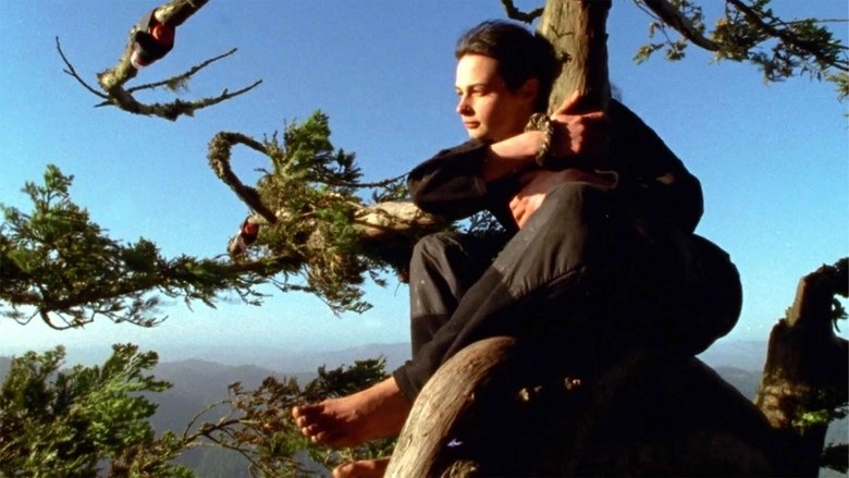 Butterfly (2001)