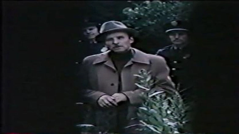 Bumerang (1981)